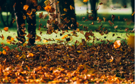 Lorem ipsum dolor sit amet, consectetuer adipiscing elit. Aenean